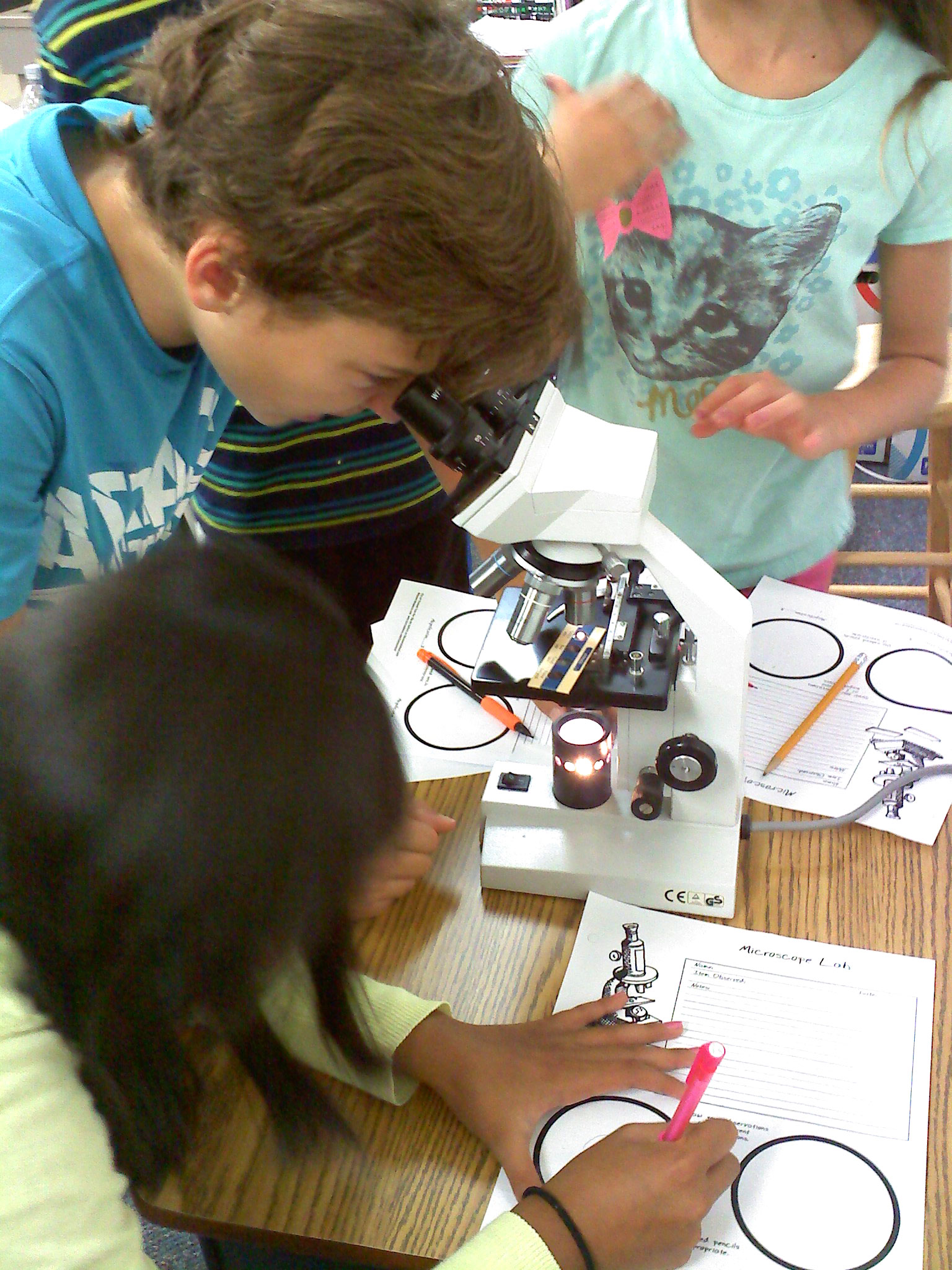 5th grade science