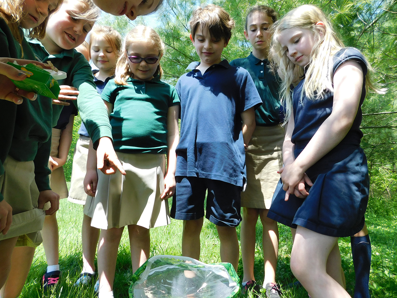 First Graders Releasing Butterflies