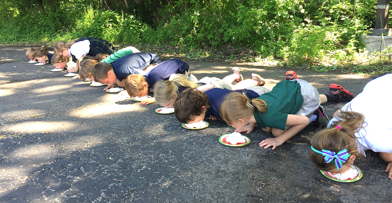 First Grade Year End Picnic