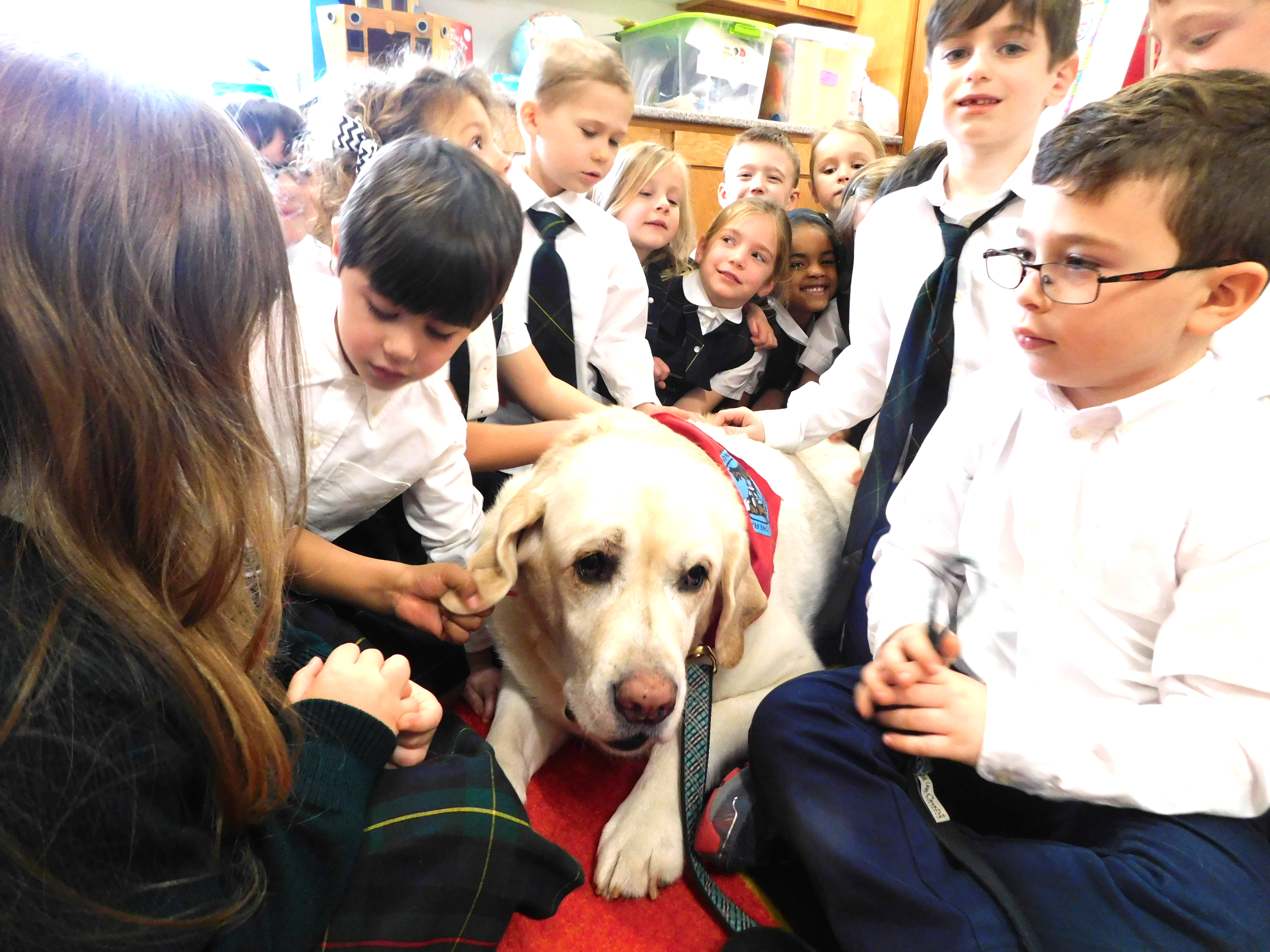 Kindergarten with Buddy the therapy dog