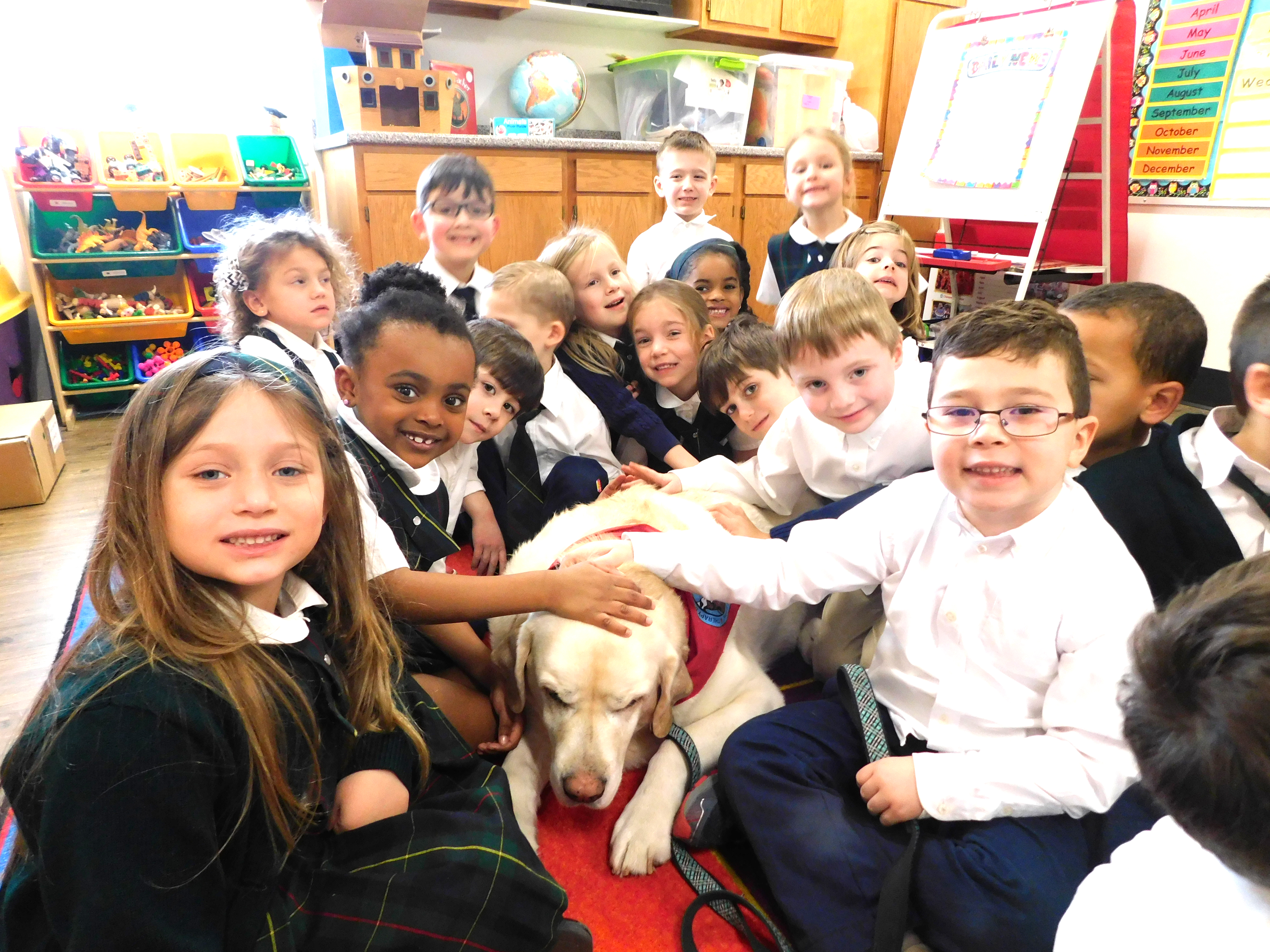 Kindergarten with Buddy the therapy dog