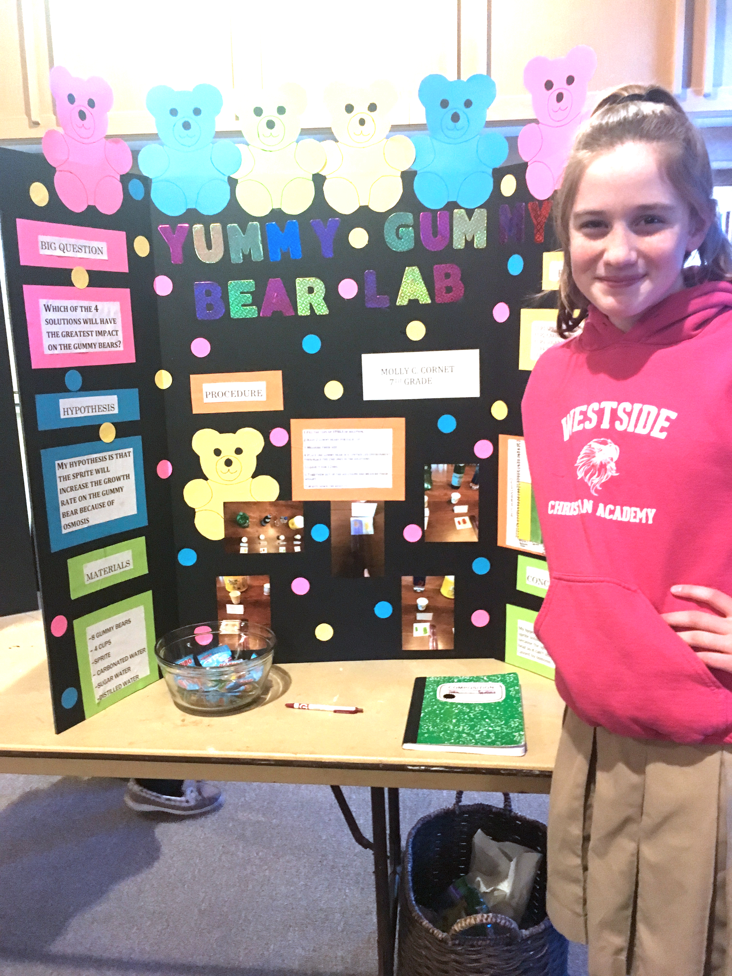 Seventh Grade Science Fair