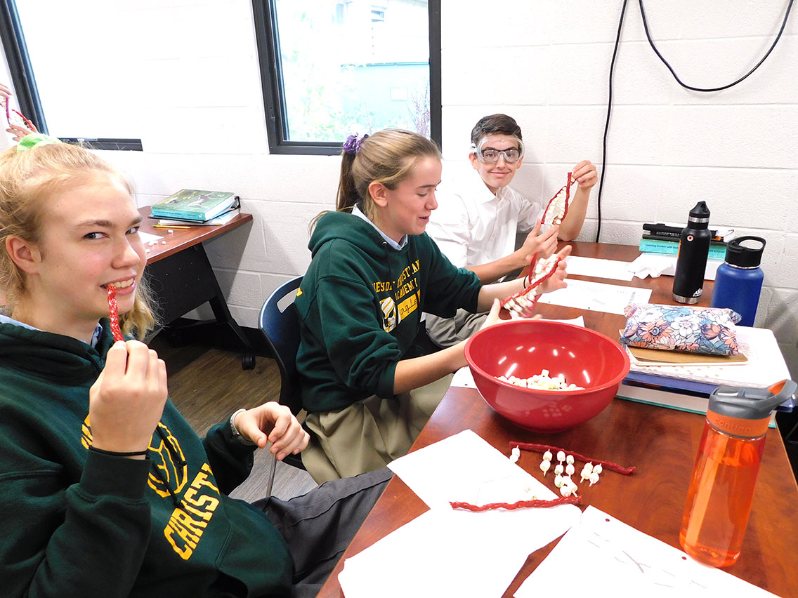 HS Science