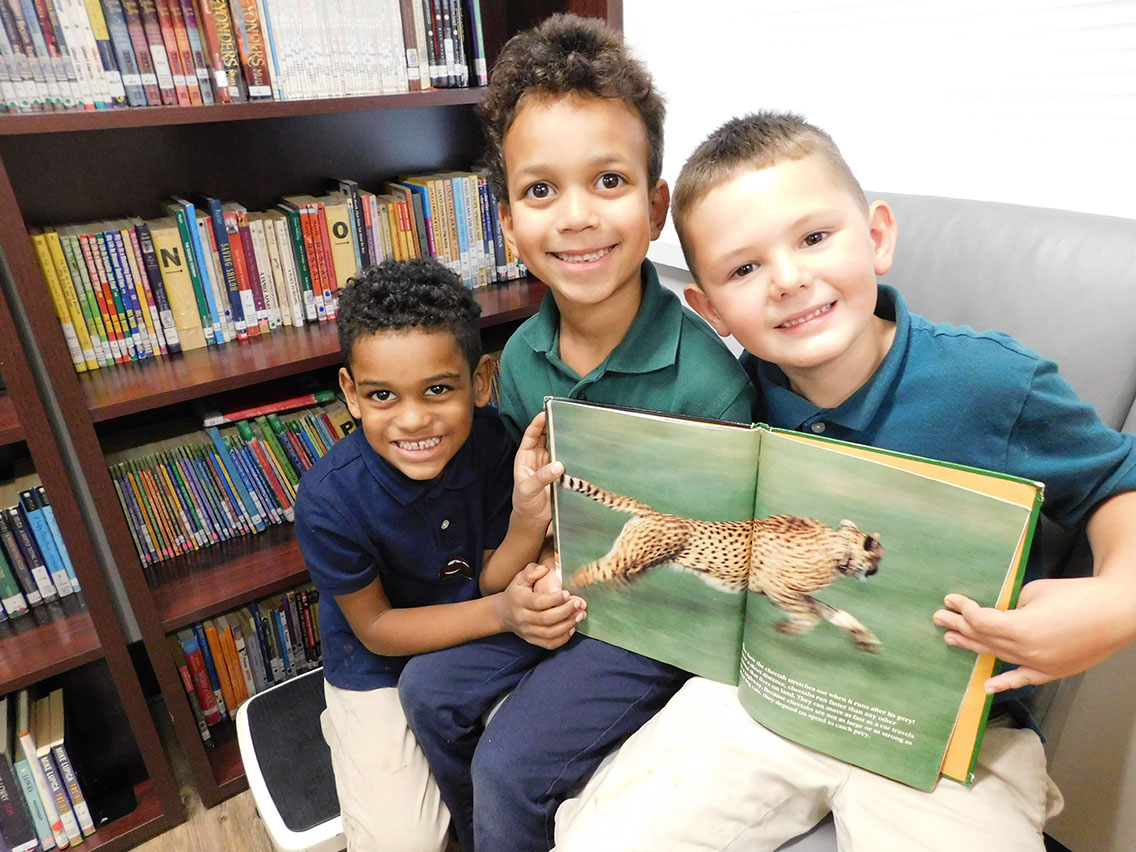 Kindergarten Library