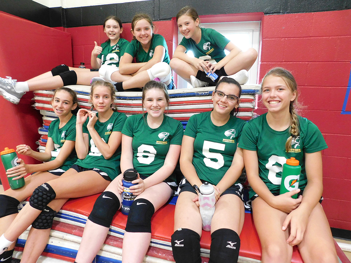 Volleyball Fun