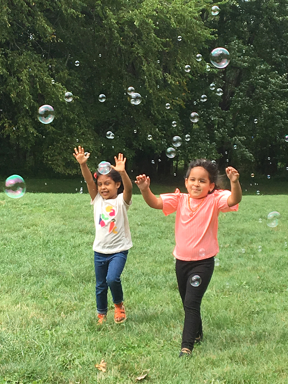 Pre-K Fun